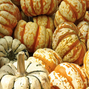 Organic yam & pumpkin enzyme peel