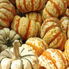Organic yam & pumpkin enzyme peel